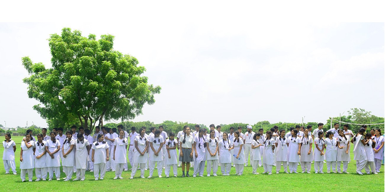 Viruksham tree plantation